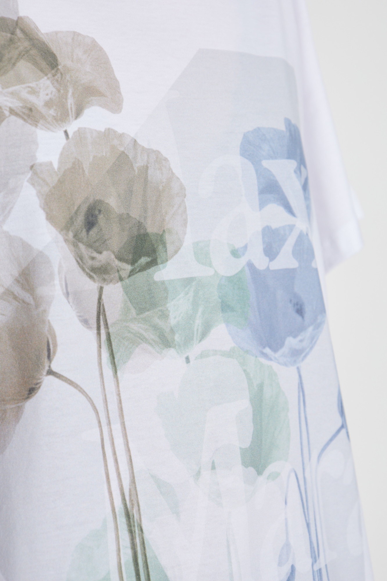FW25【 MAX MARA 】SEQUOIA グラフィック Tシャツ Max Mara T-shirt SEQUOIA in white